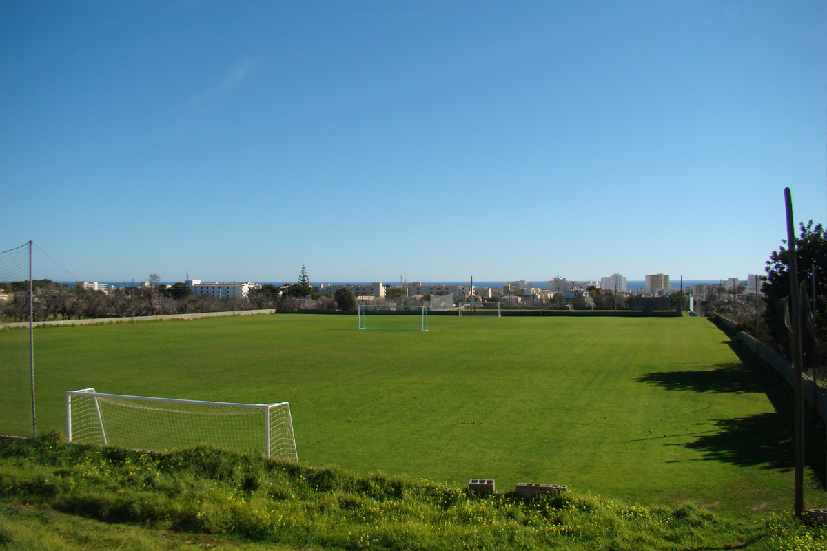 2 natural grass football pitches