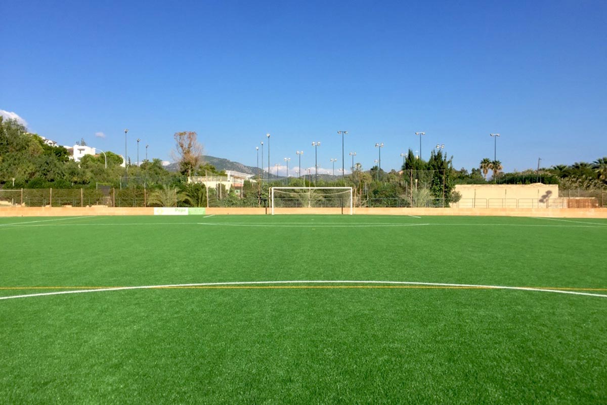 Latest Generation Artificial Grass